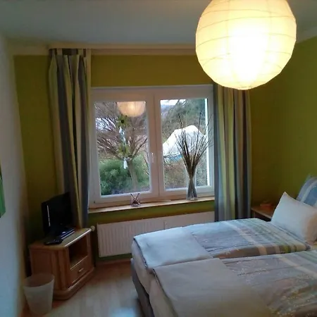 Flowerpower Daire Hehlen