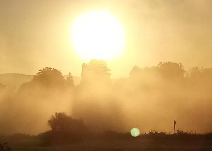 Flowerpower Appartement *